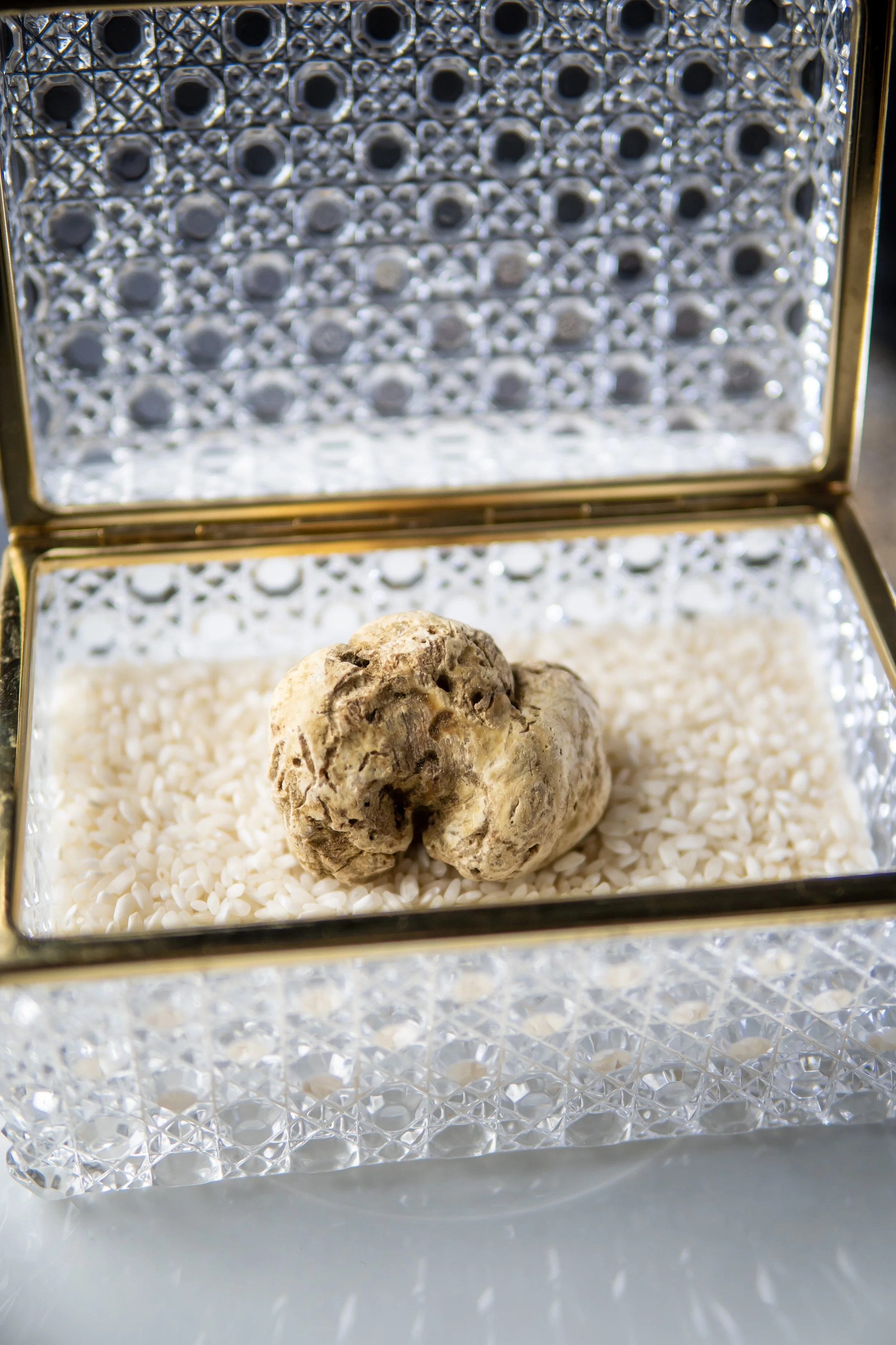Alba White Truffle