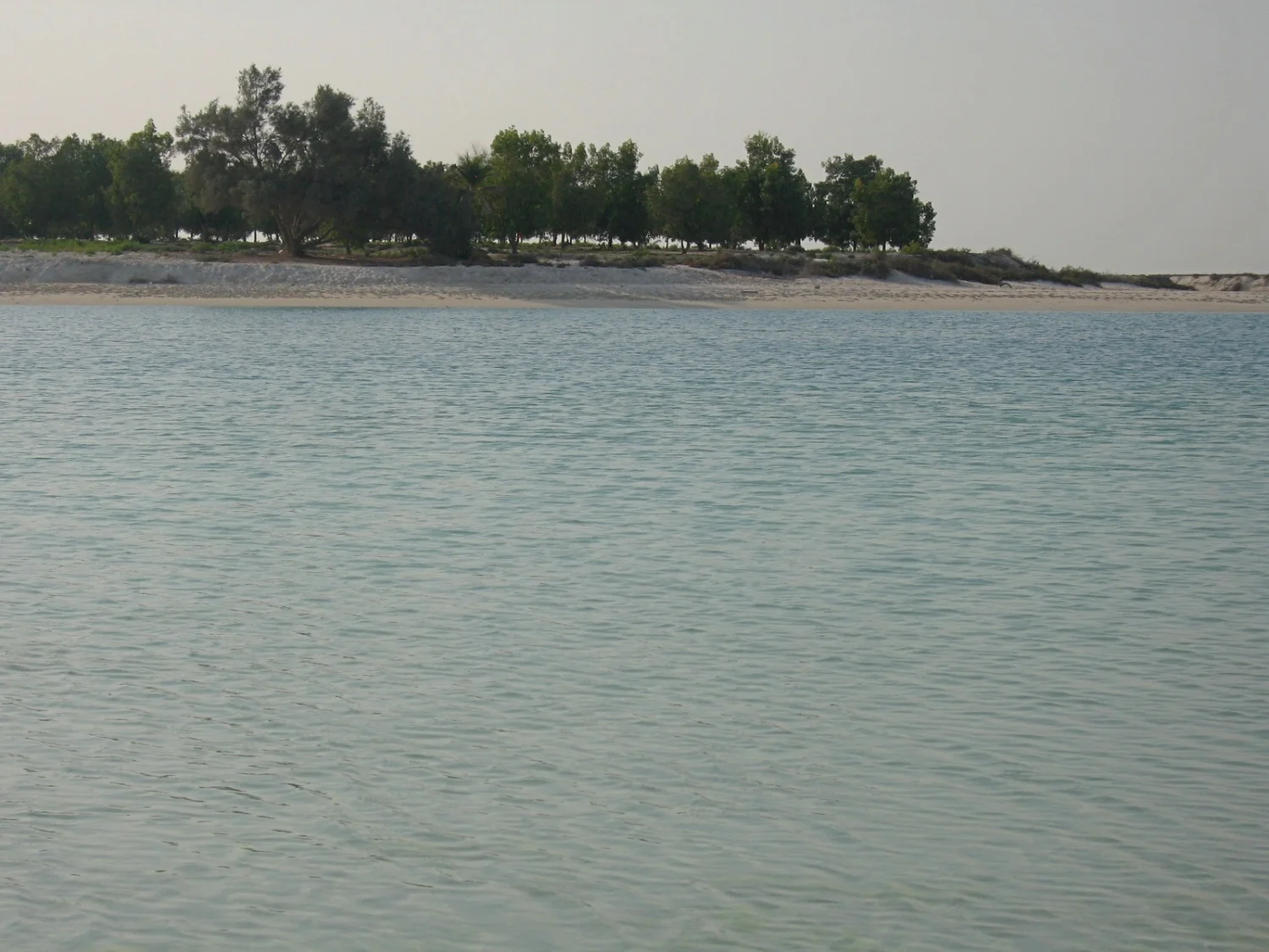 IMG_1542.jpg