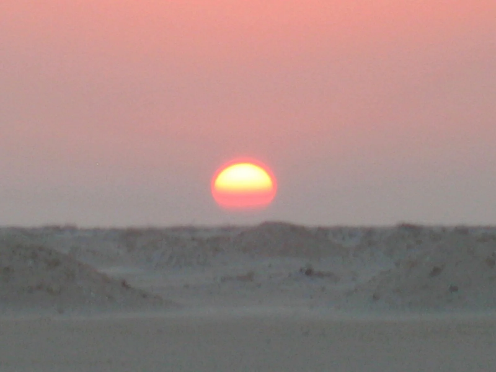 IMG_2390.JPG