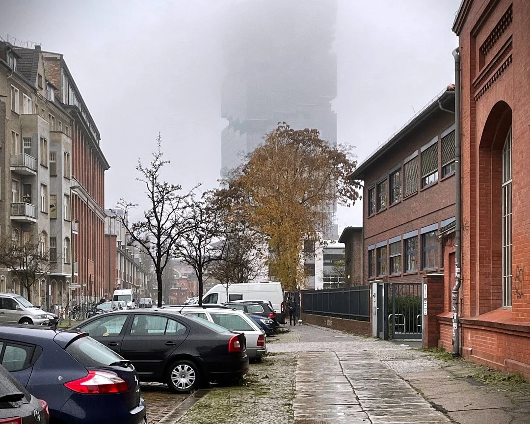 by Laura de Vasconcelos.jpeg