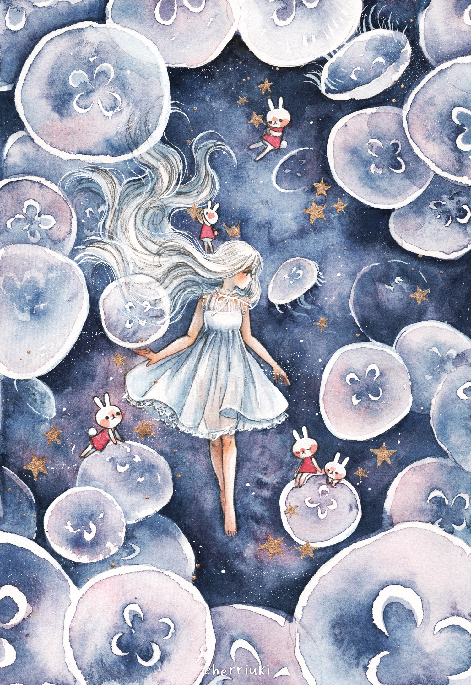 880Jellyfish-2.png