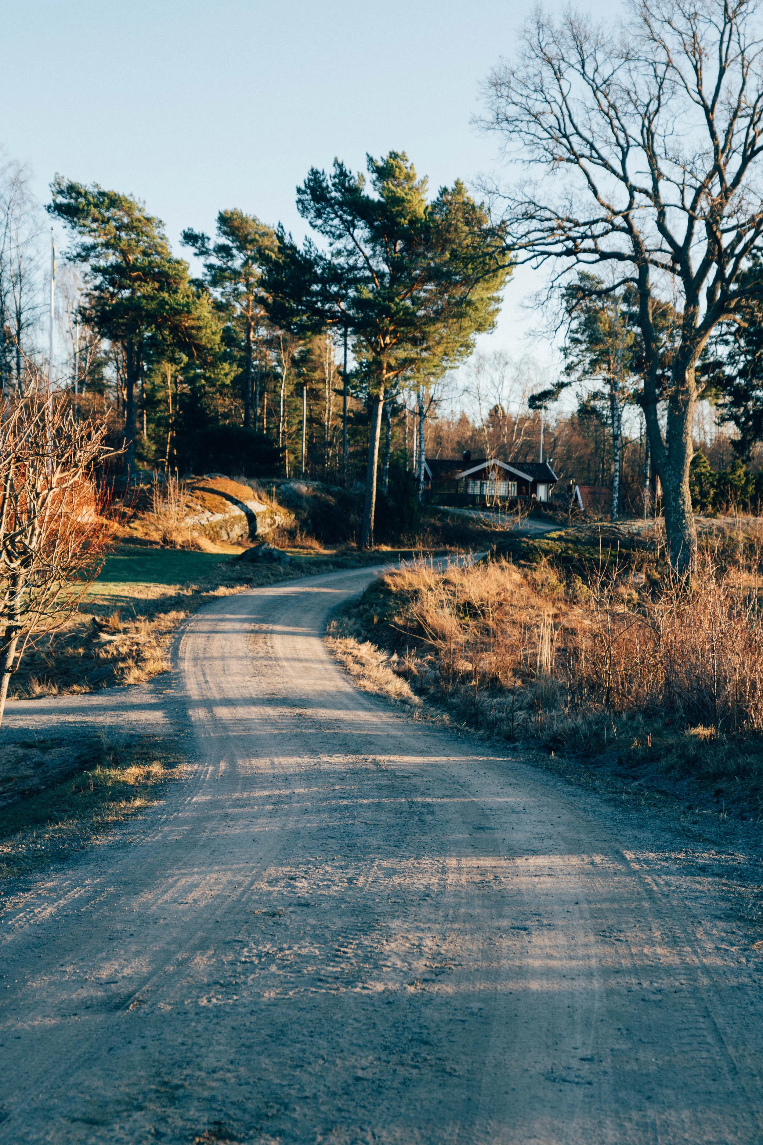 2016 Gratitudes & Goals For 2017