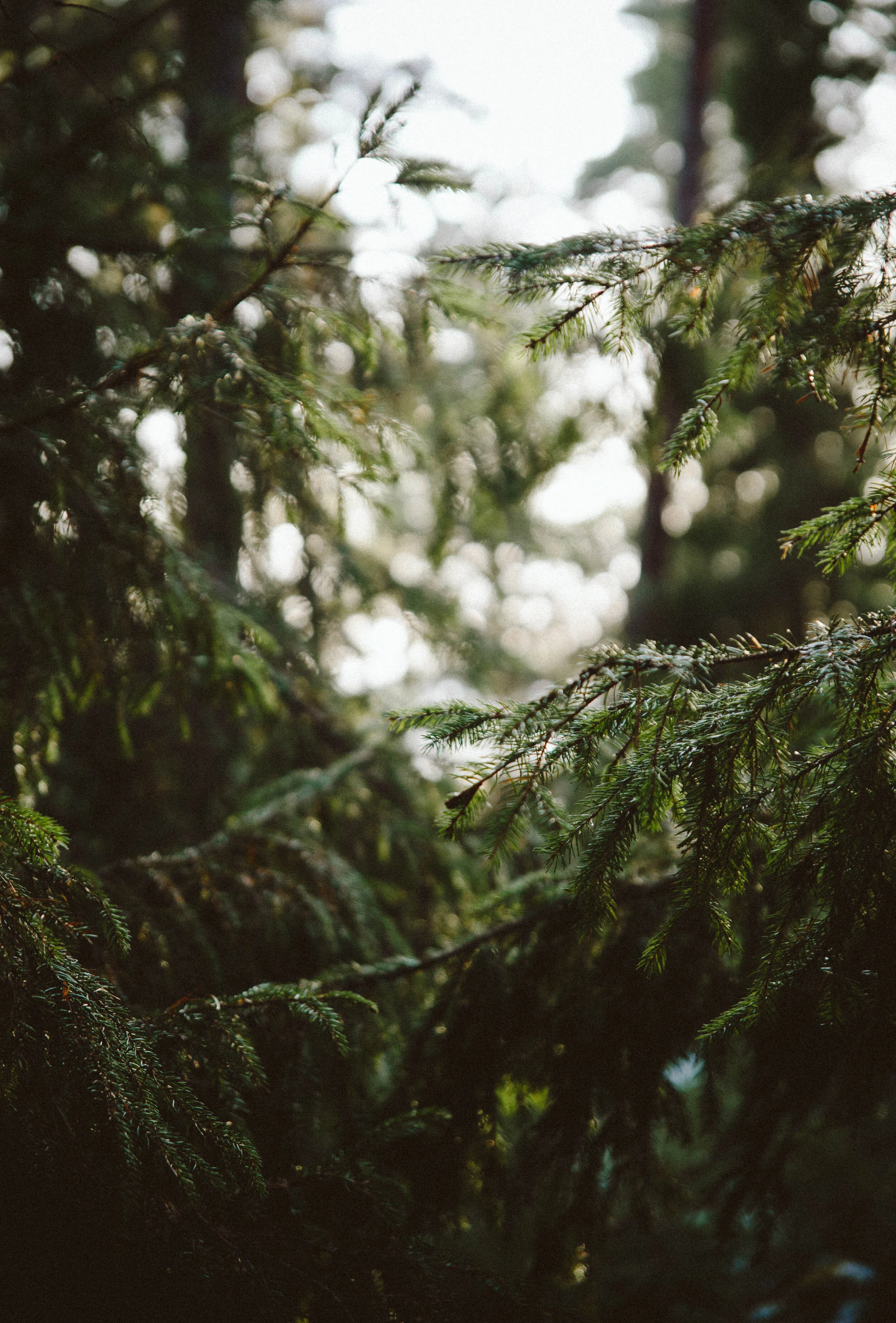 January Diary + Link Love