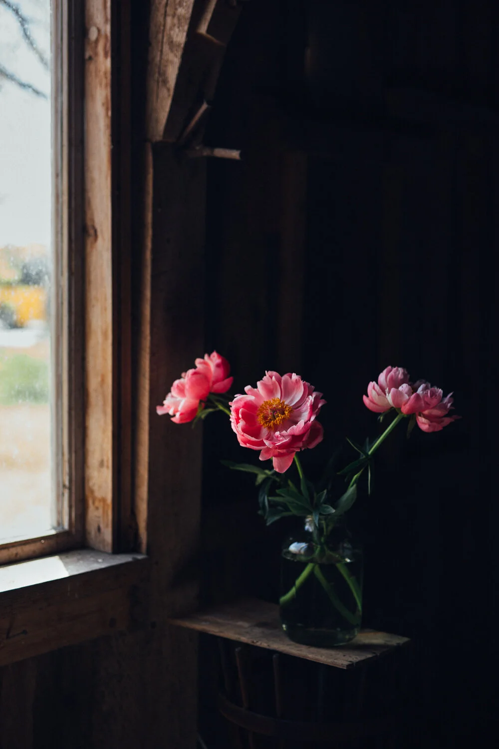 May Link Love + Spring Time Anxiety