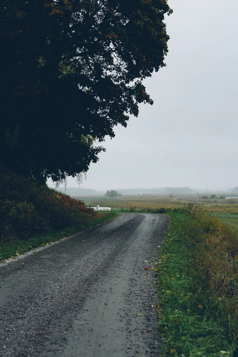 September Reads - The state of the blog industry, #instageddon & slow living