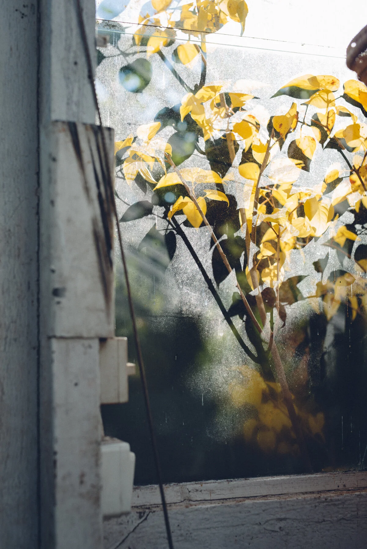 Frilansmåndag v. 42 - Om Stora Influencerpriset, känslostorm &amp; att prioritera hälsan först