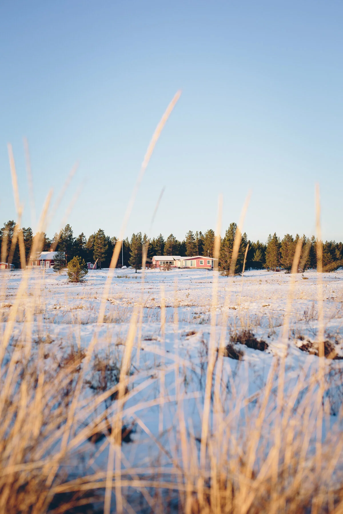 Hur tjänar man pengar som bloggare?