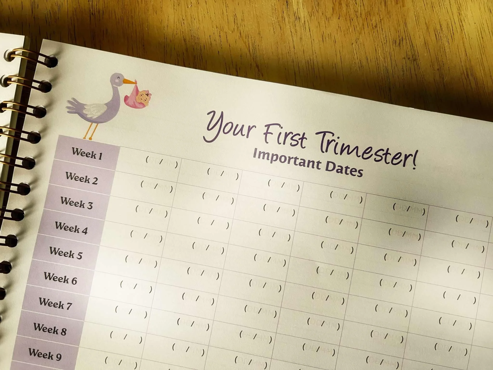 Open Pregnancy Journal showing weekly milestones and guided prompts – ideal pregnancy gift and memory keepsake