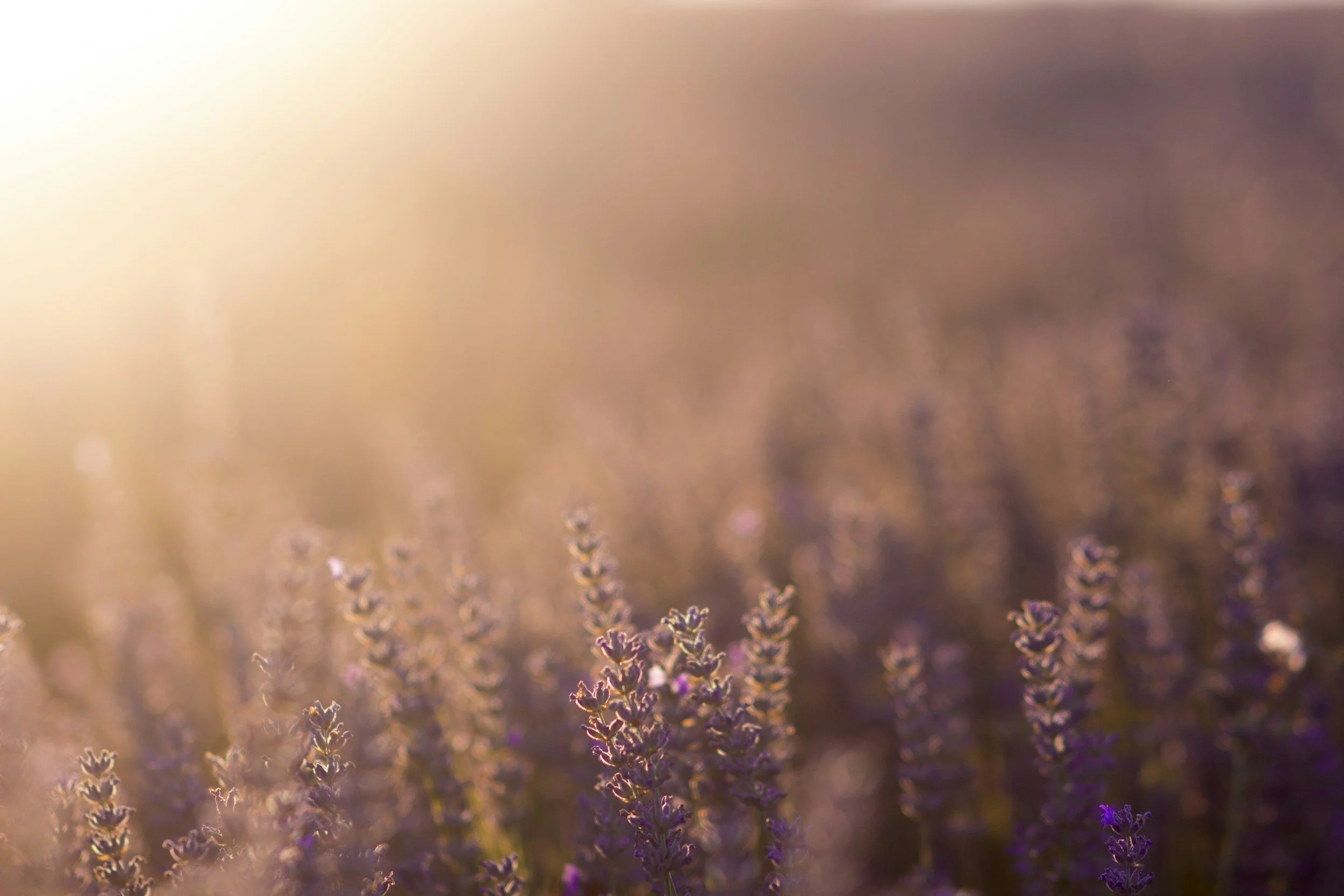 natural skincare routine for women Ireland holistic wellness lifestyle