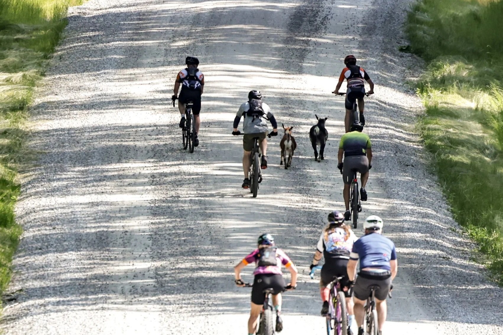 2025 Cowpie-1251.jpg