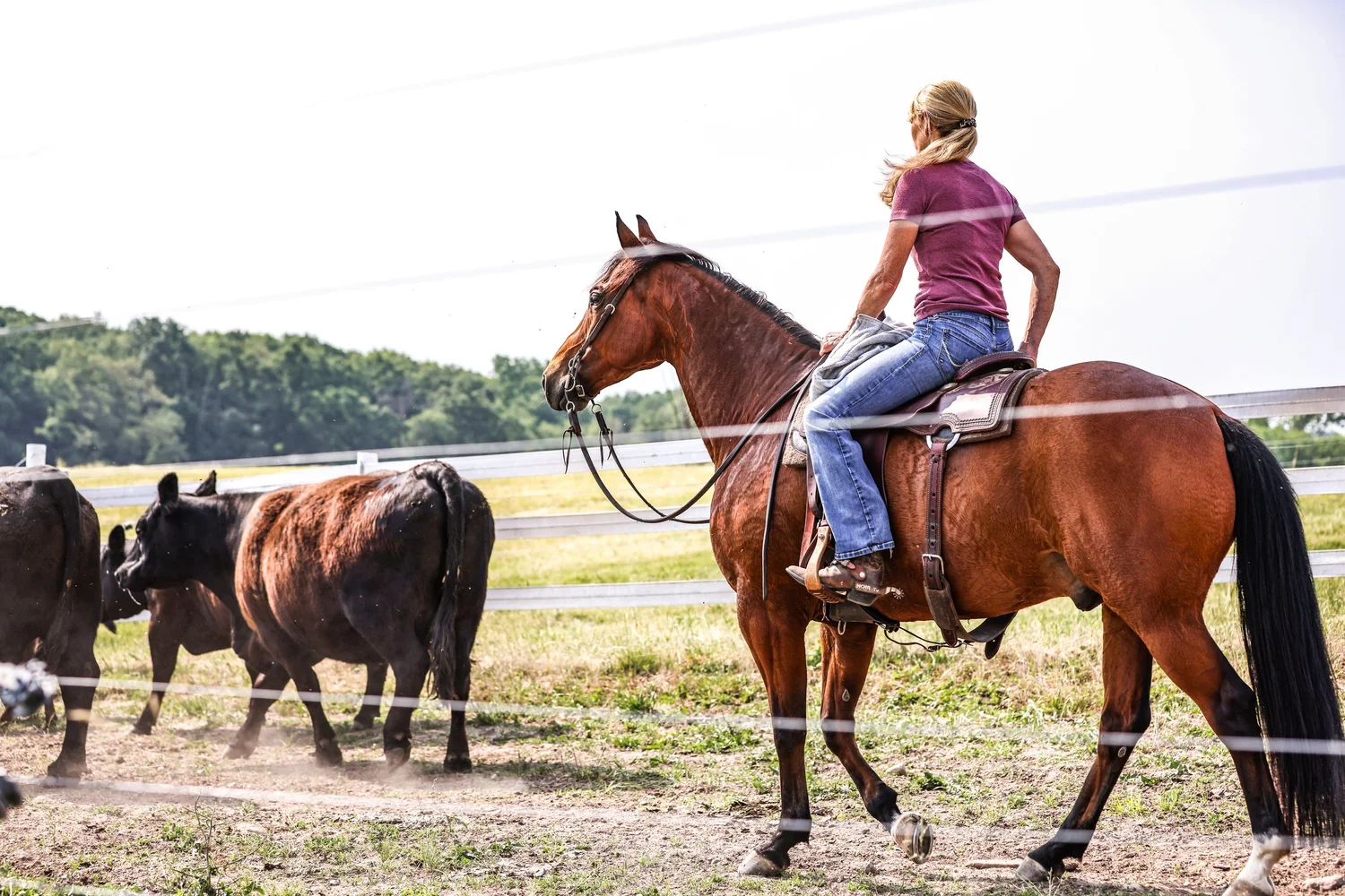 Cow Pie Rally The Cow Pie Classic