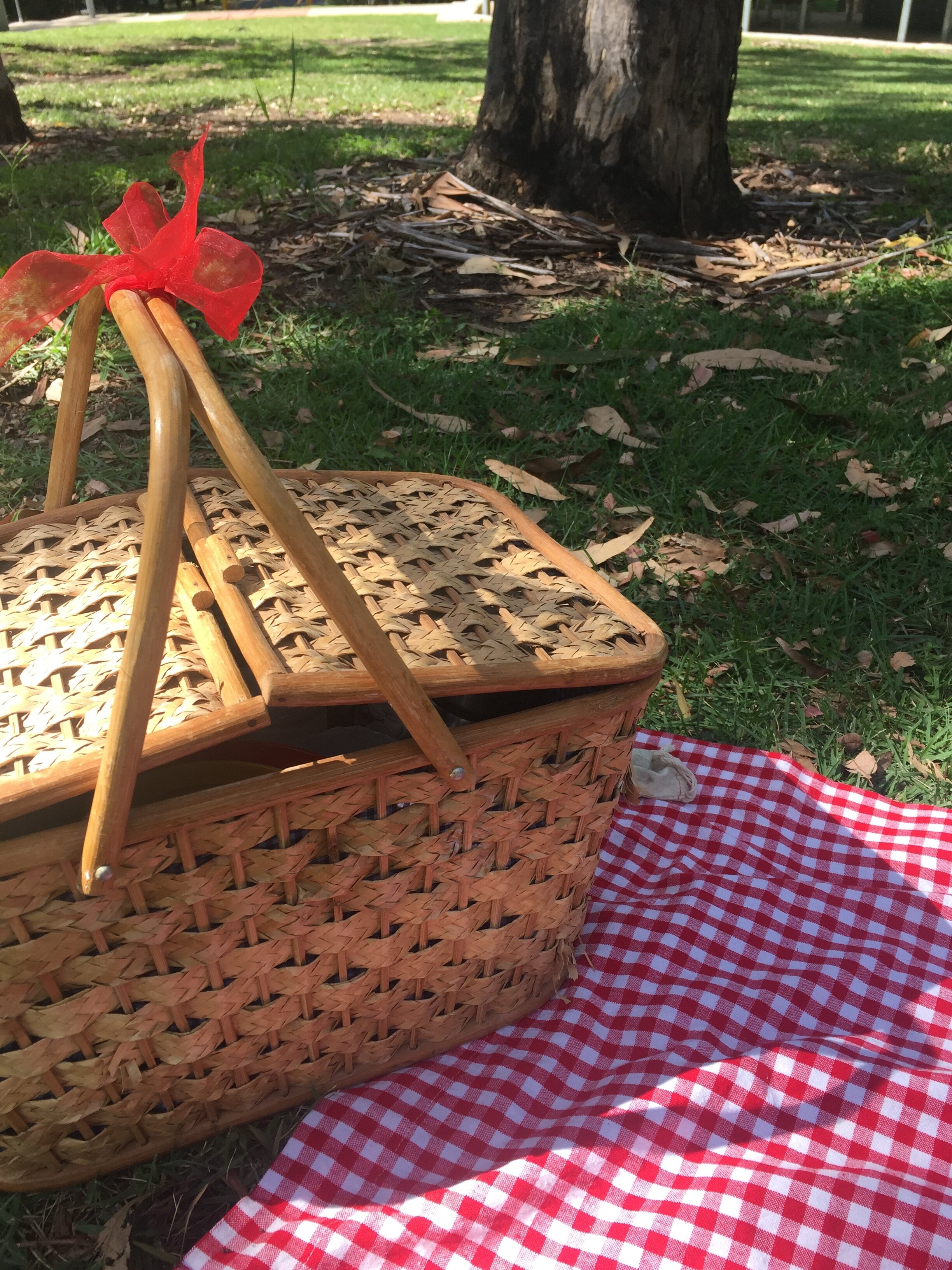 Planning a waste-free picnic