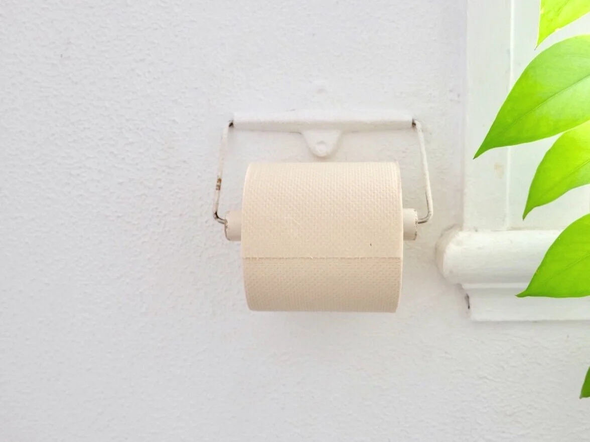 Why to choose unbleached toilet paper, plus Eco Cheeks review