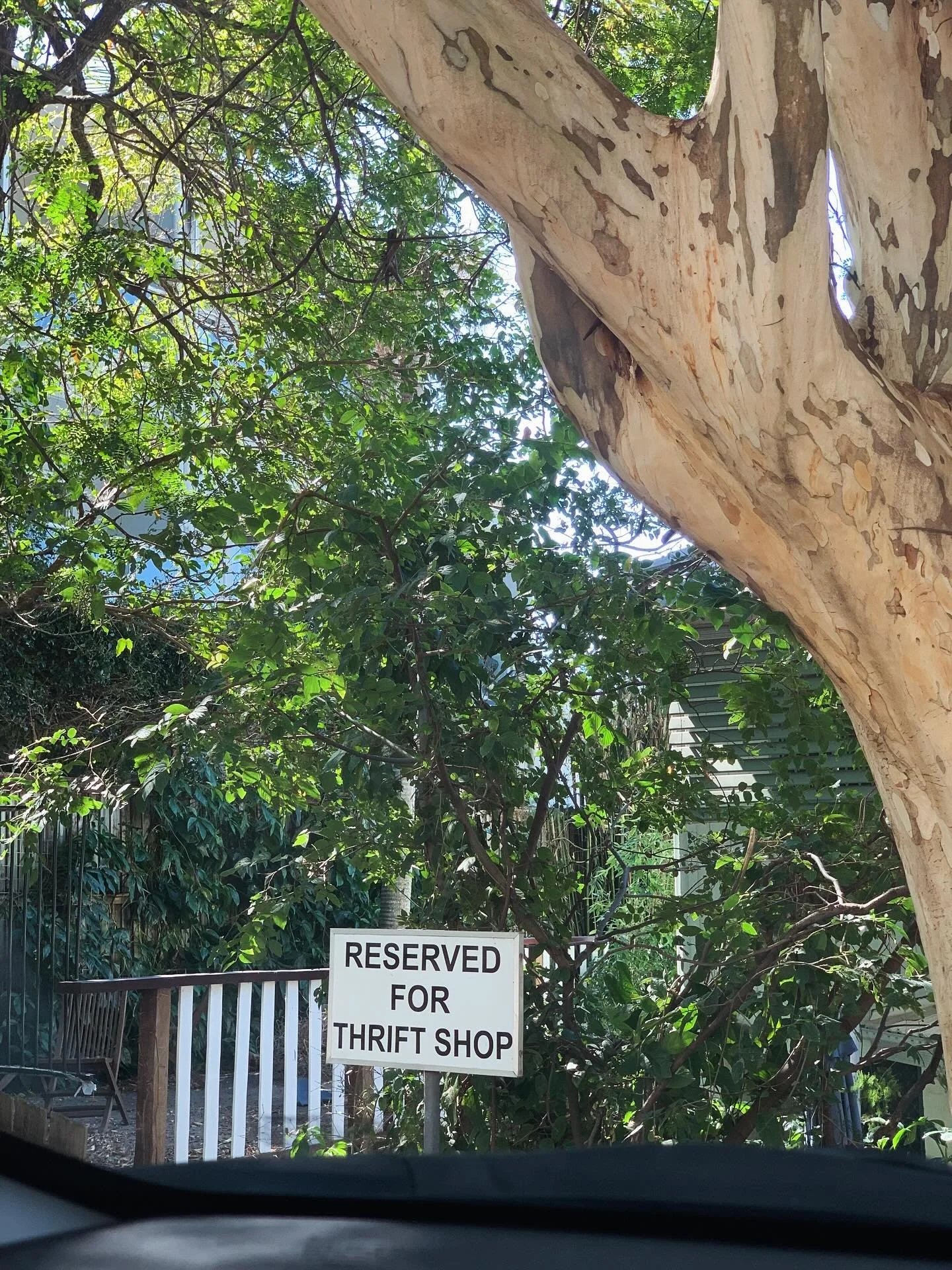 why yes, thank you. there should be more of it 🙂&zwj;↕️

#thrifting #opshopping #secondhandfirst #preloved