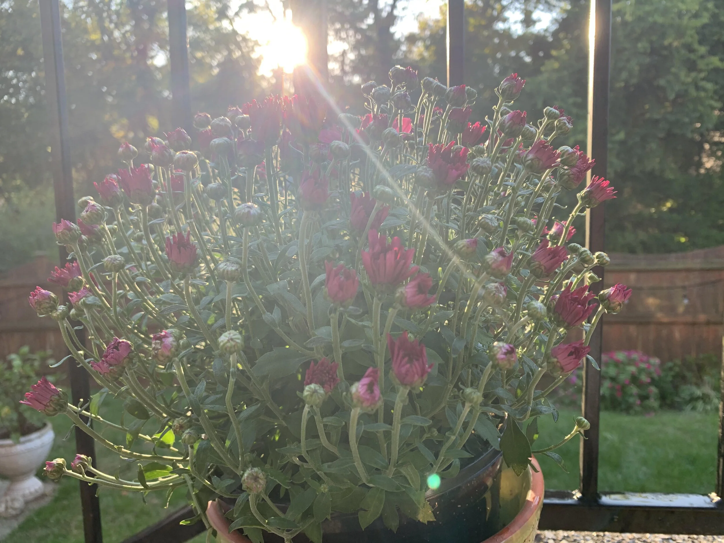 Listening to Yourself - Creating Your Own Happiness