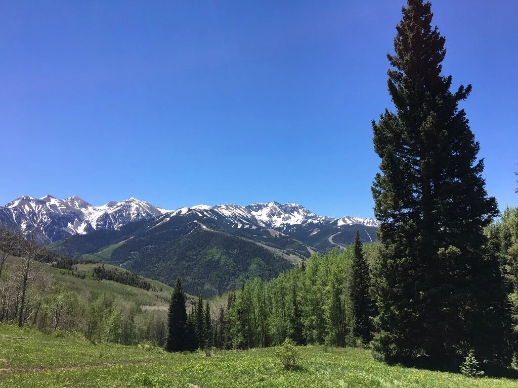 A Common Block to Potential