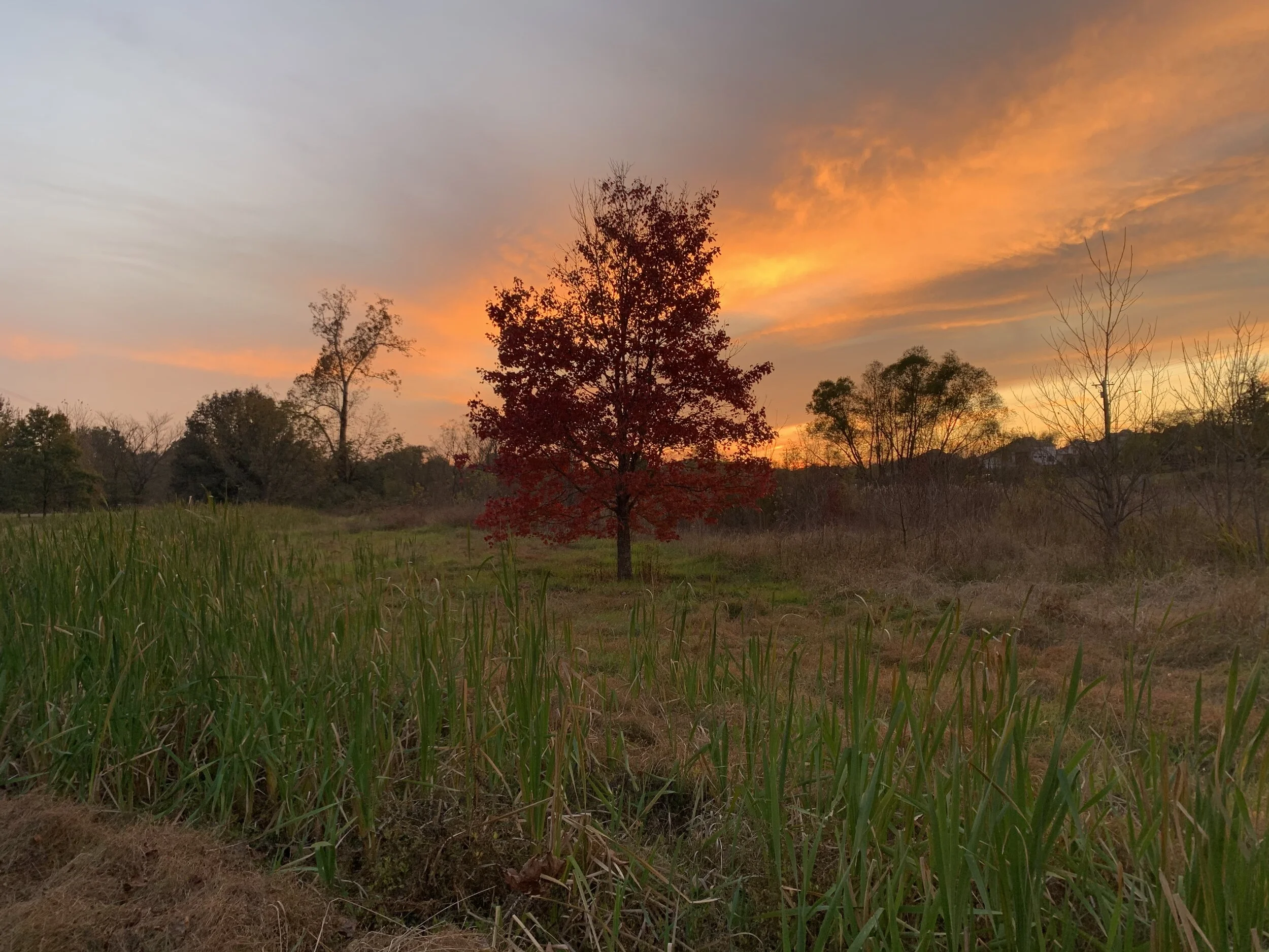 What I Gained from My Body-Mind Connection