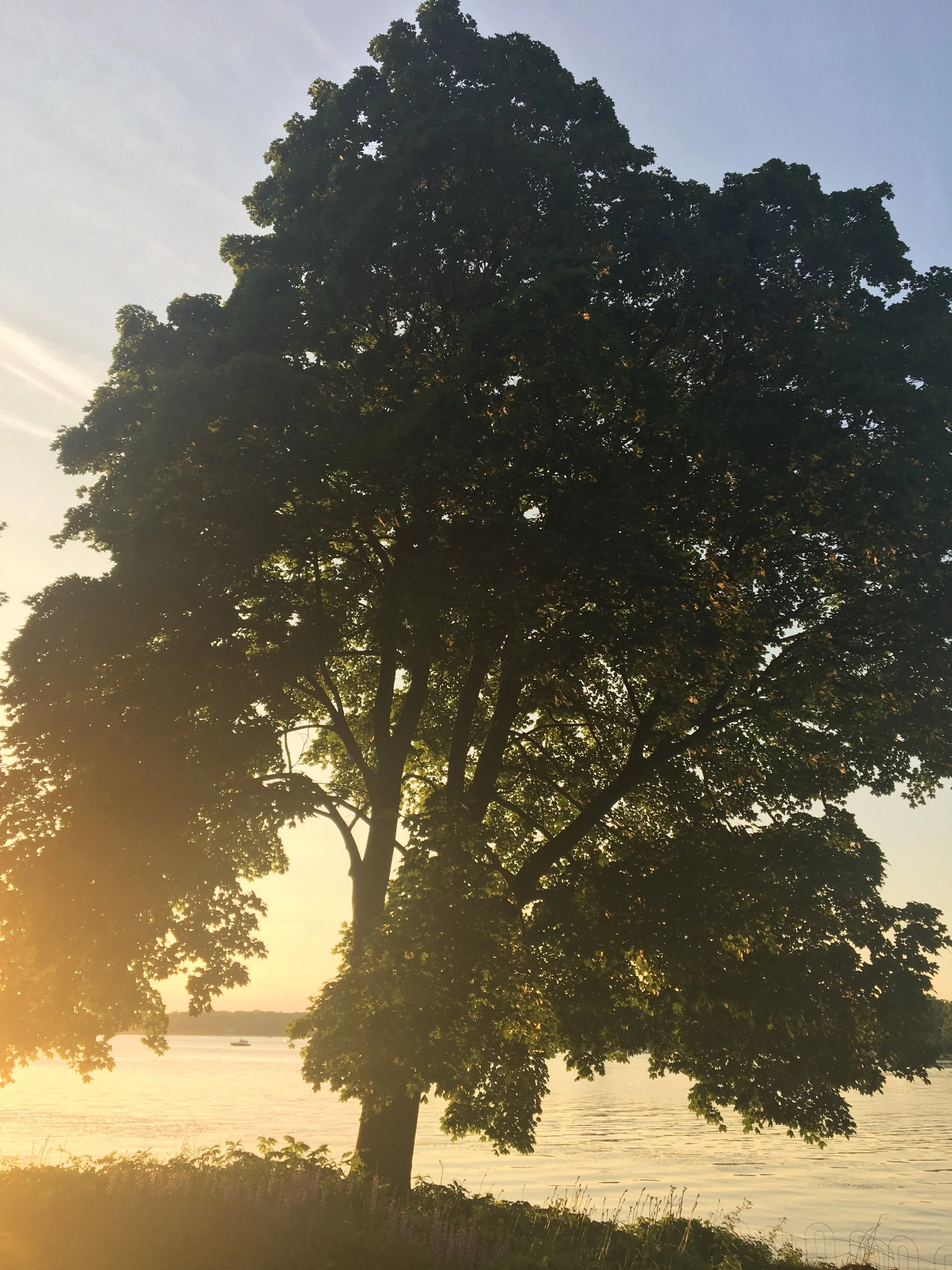 I’ll Speak for Me, You Speak for You