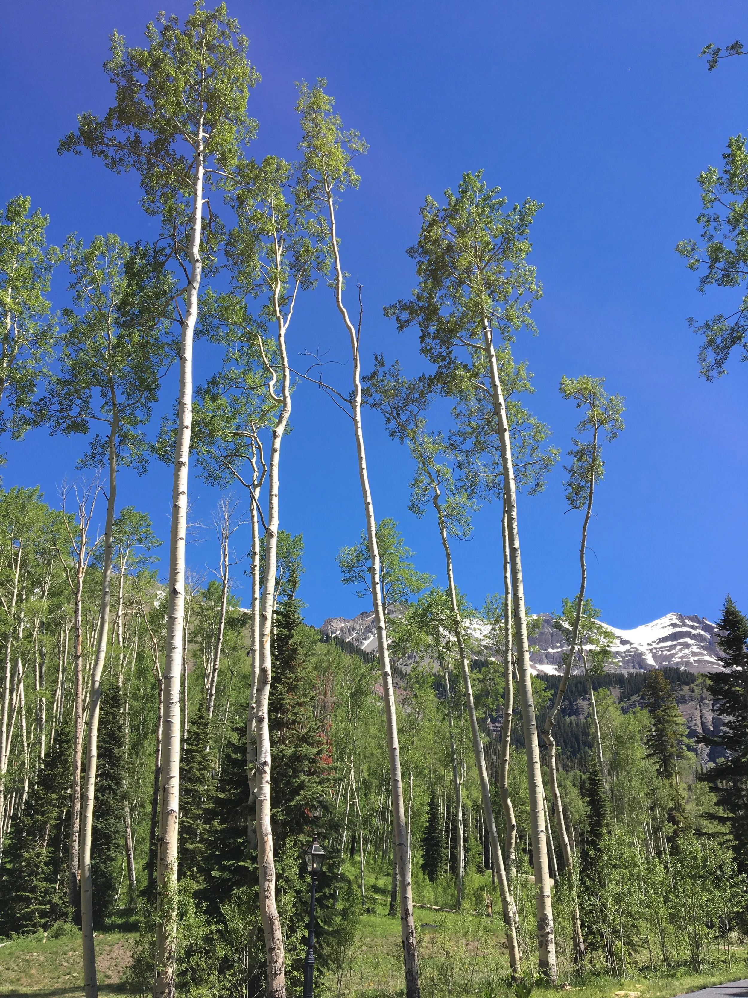 The Most Important Meeting of My Day