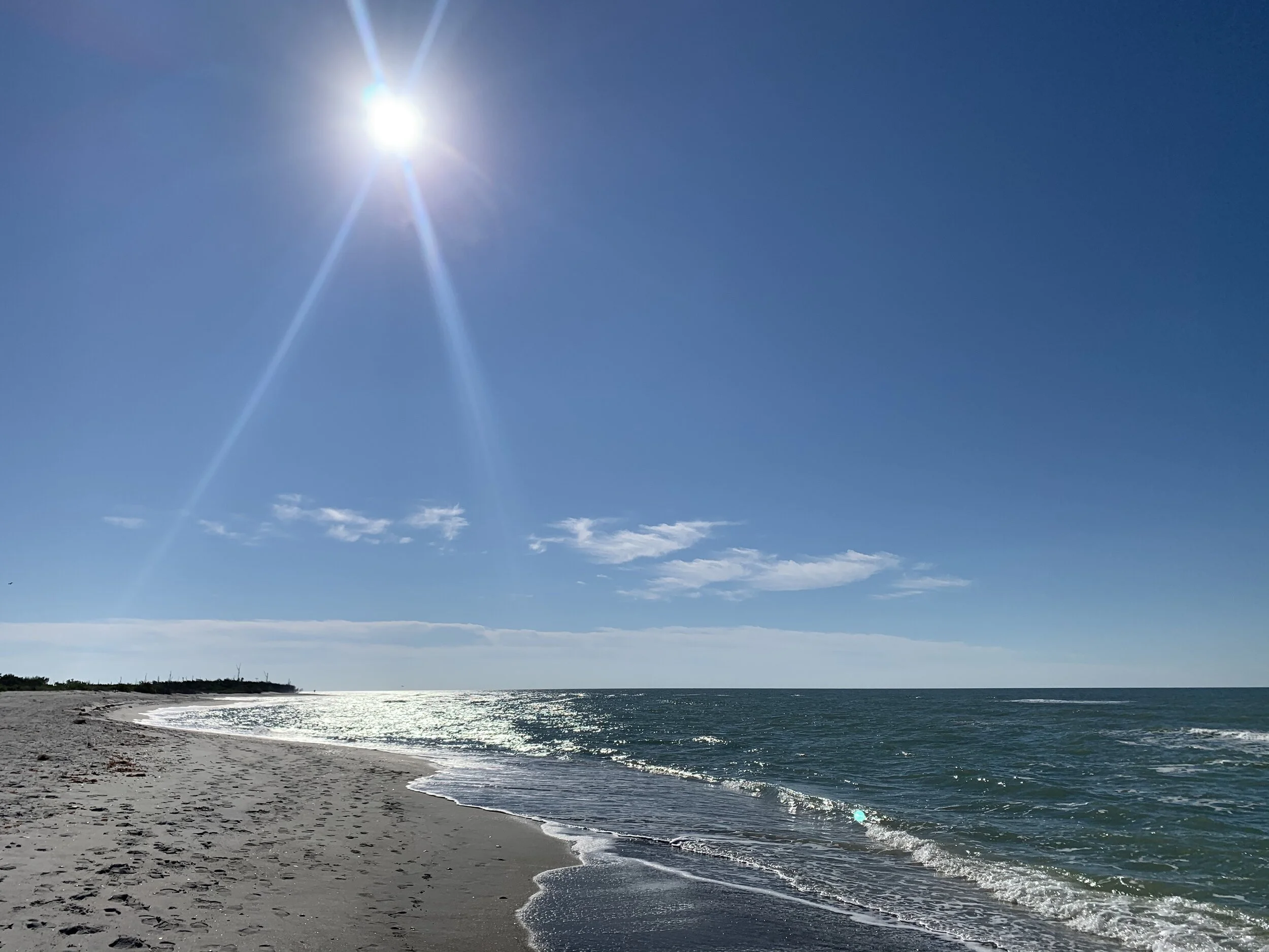 If This is My Purpose, Why Isn’t It Easy?