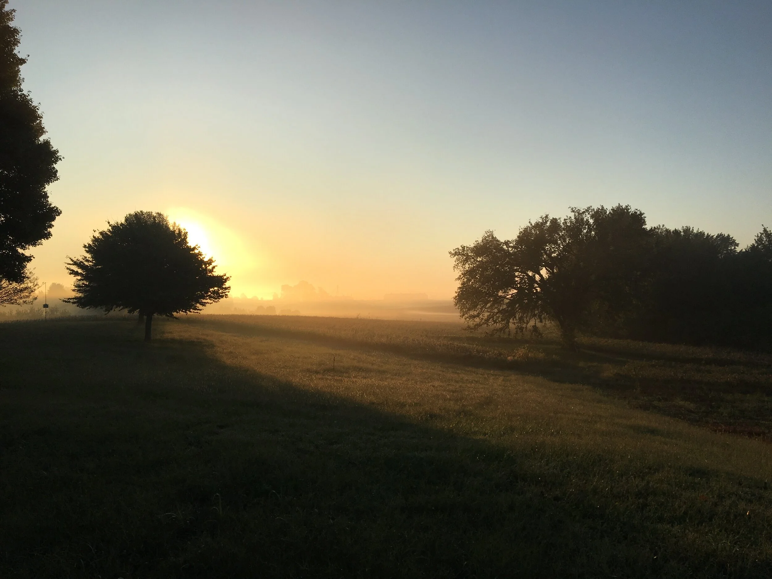 Ways To Make A Commitment To Your Life’s Work