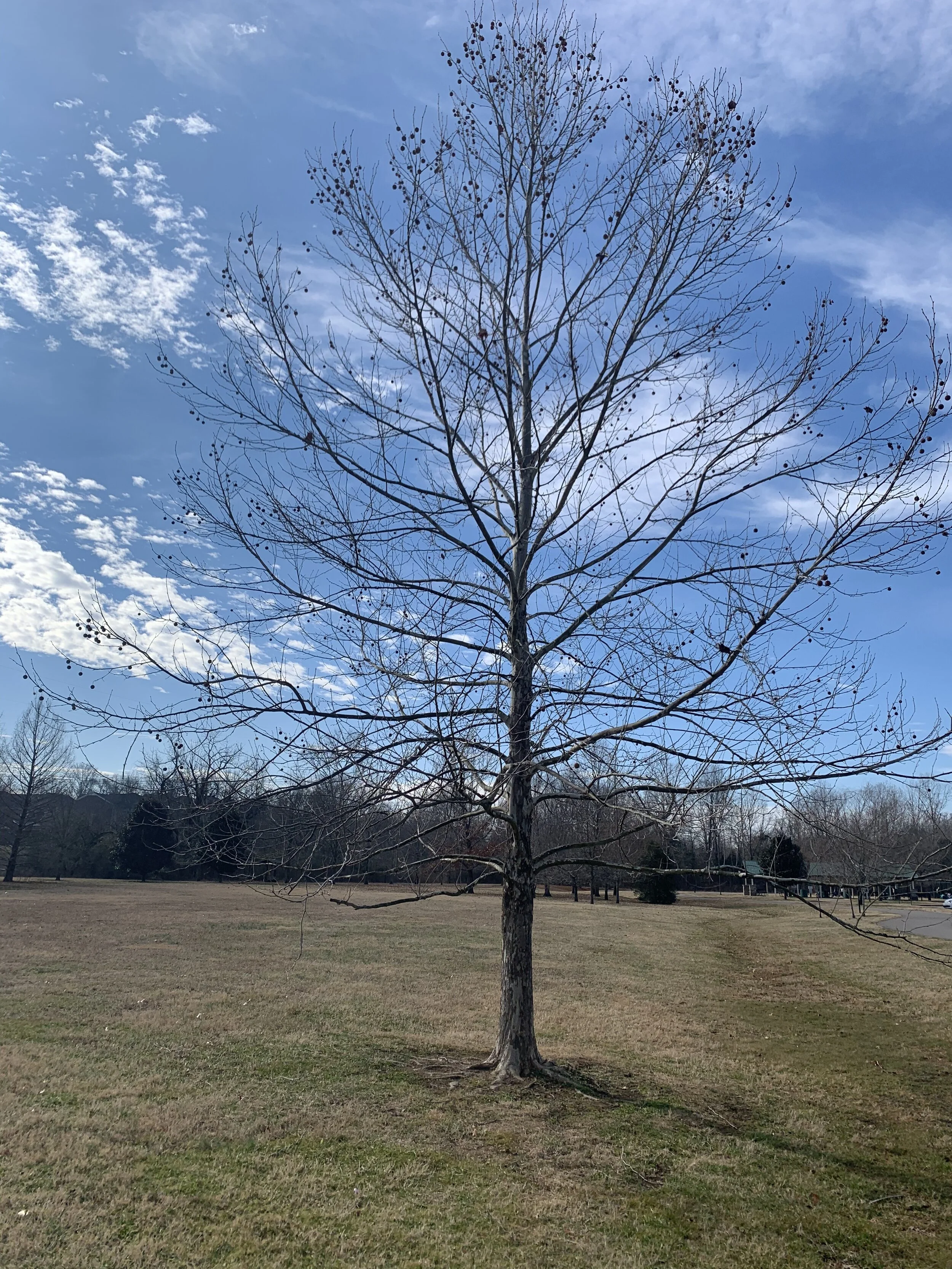 Not All Grief is Obvious