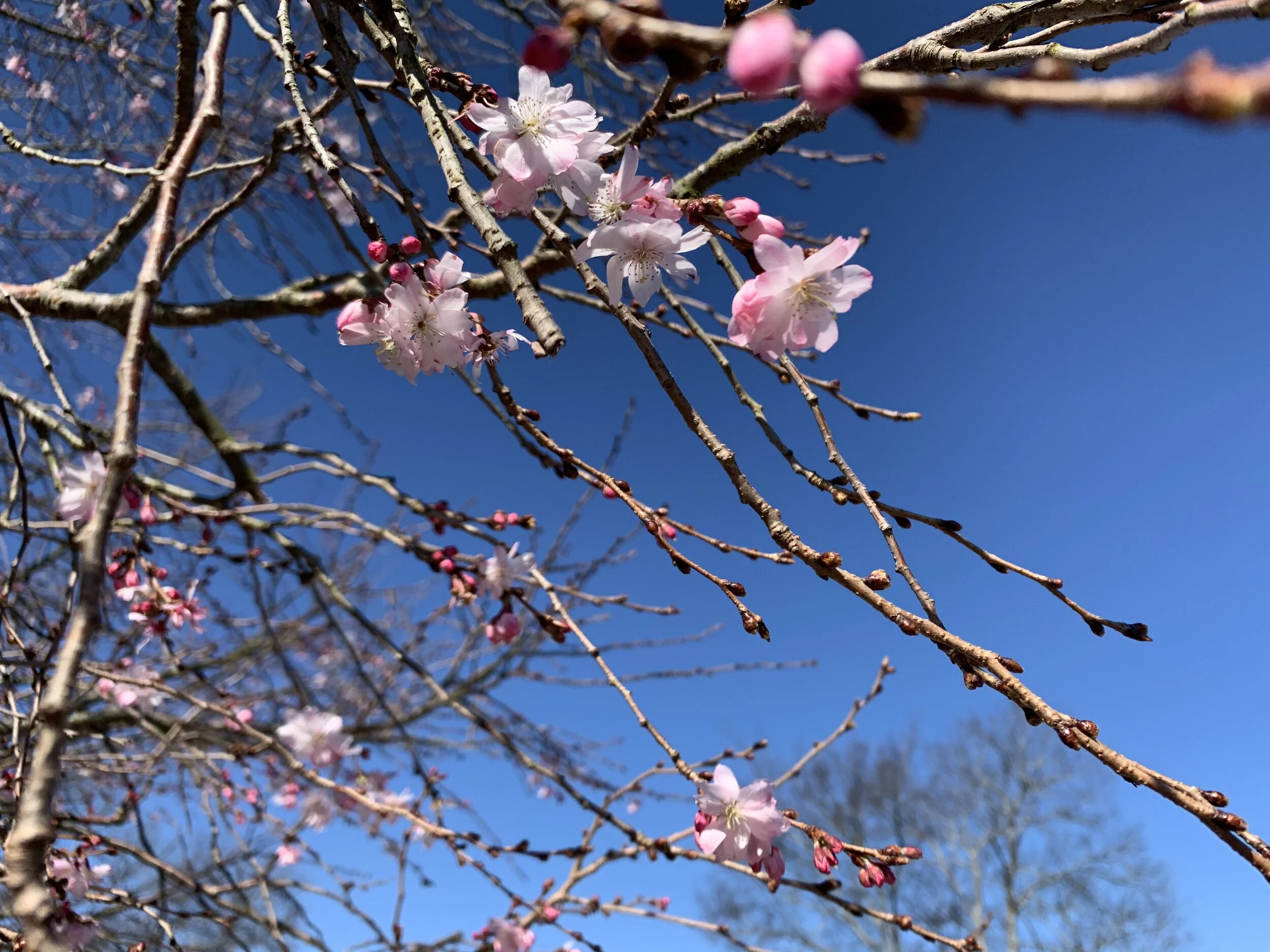 The Beauty of Being Unconventional