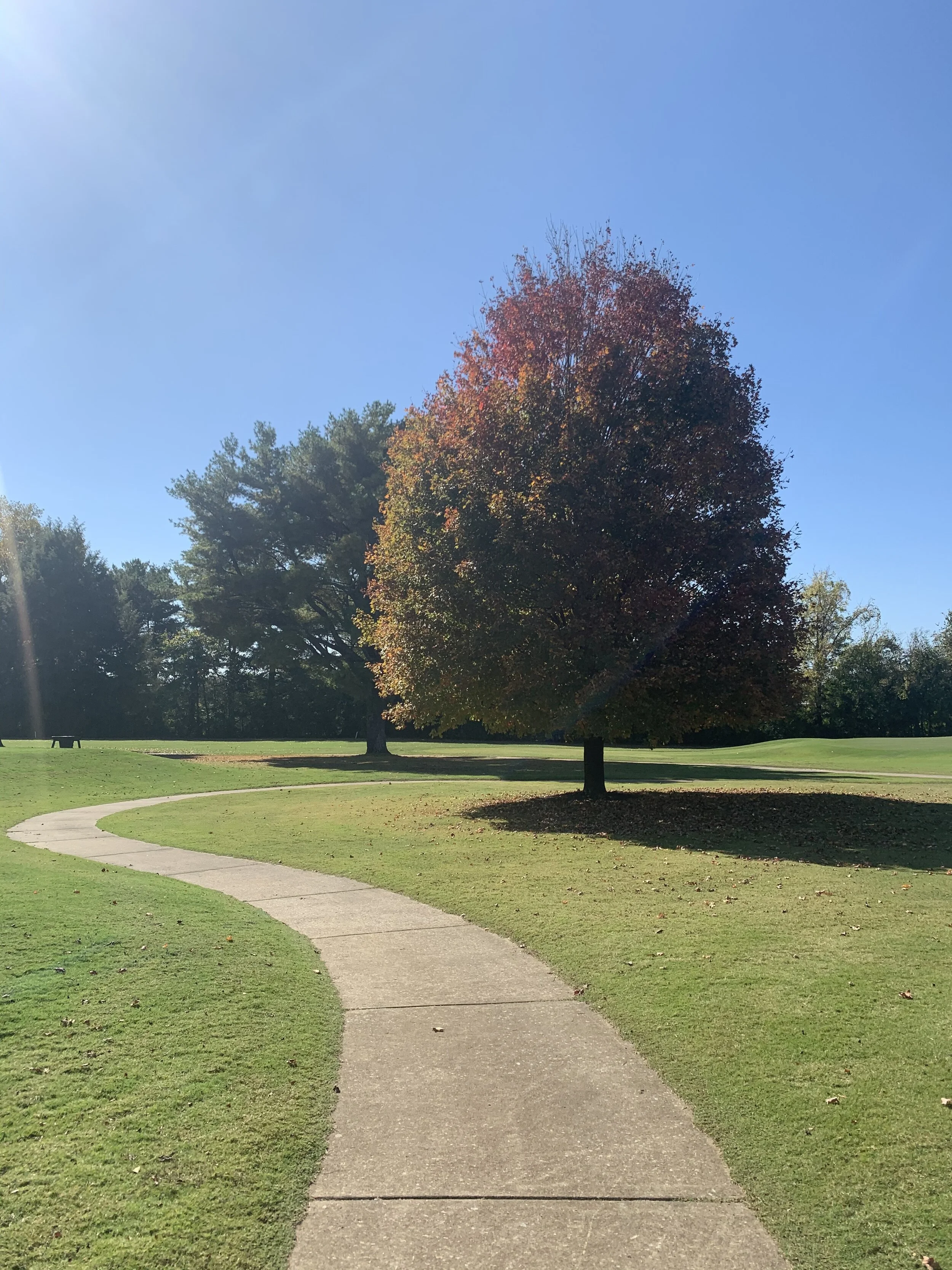 Two Things the Erode Confidence - And What to Do About Them