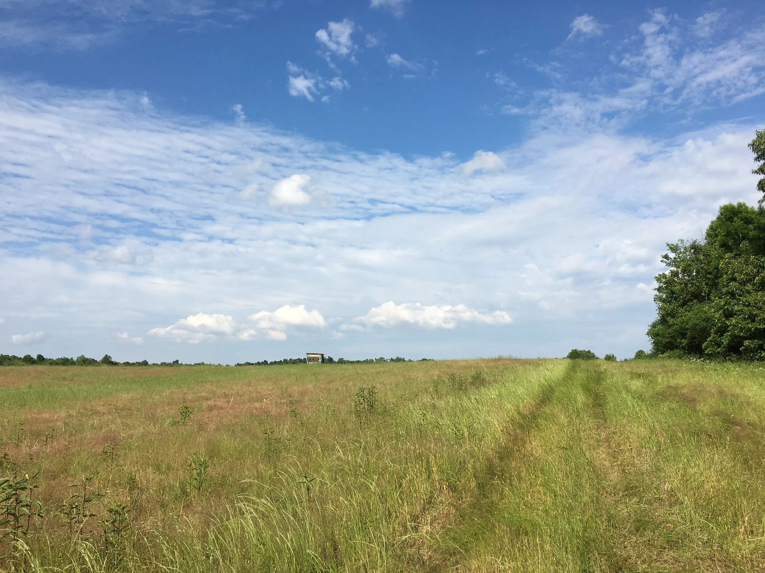 Why I No Longer Try to Achieve Balance