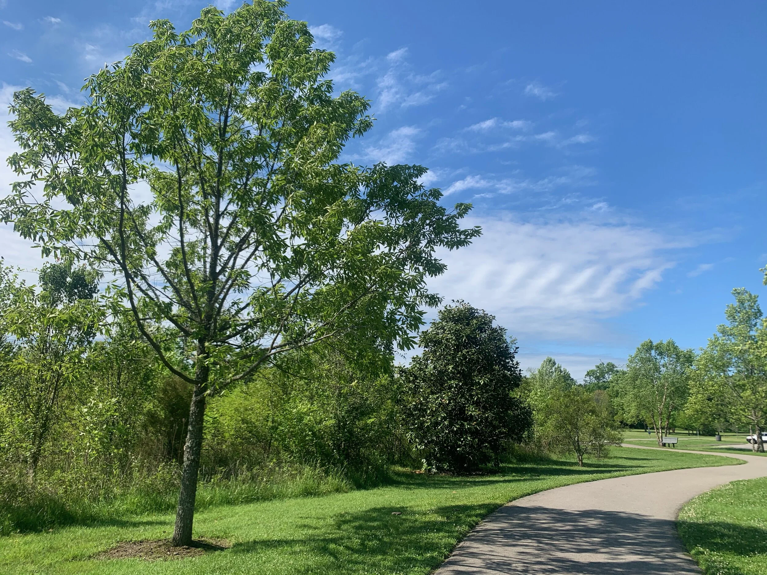 The Real Reason for Your Indecision and How to Move Past it.