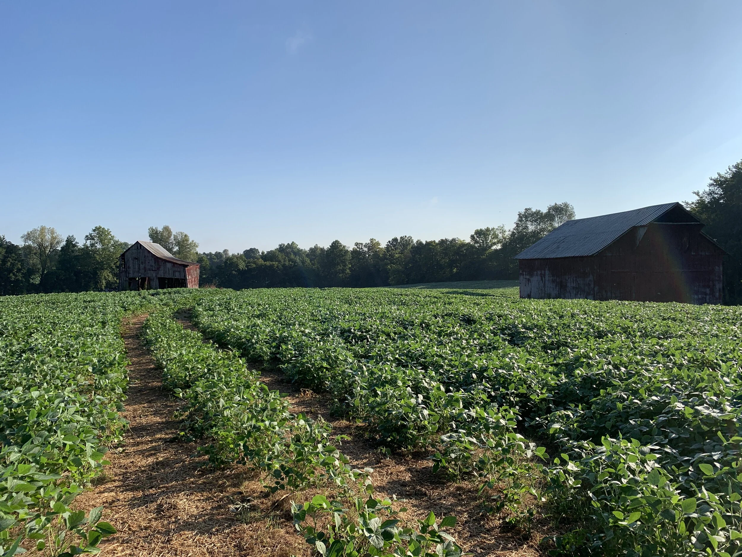 Choose Your Own Adventure