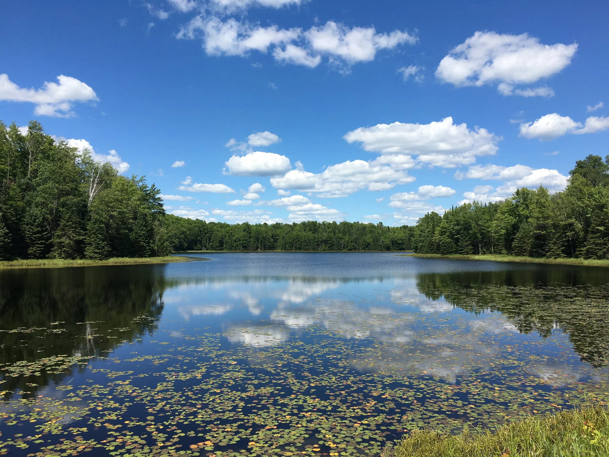 Examining Routines When Stuck