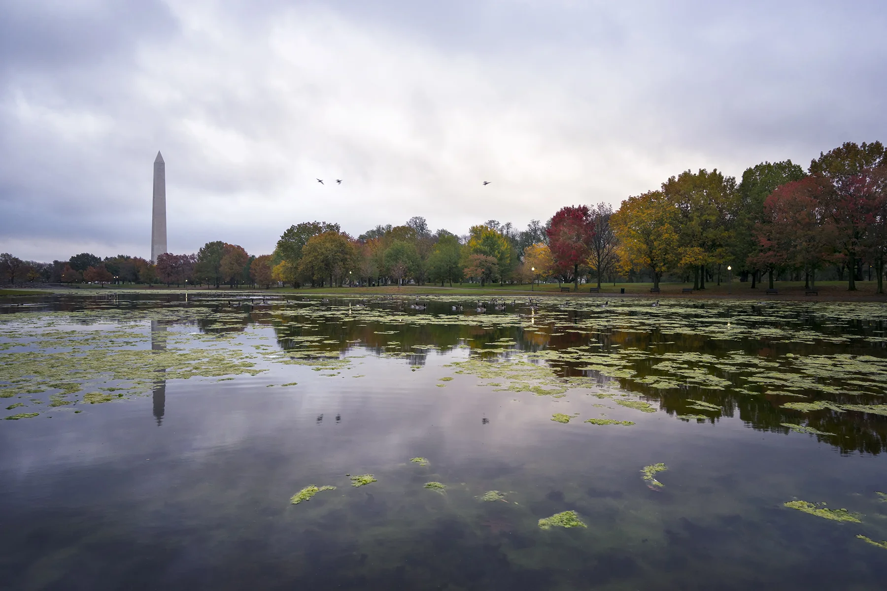 Trust for the National Mall releases State of the National Mall Report