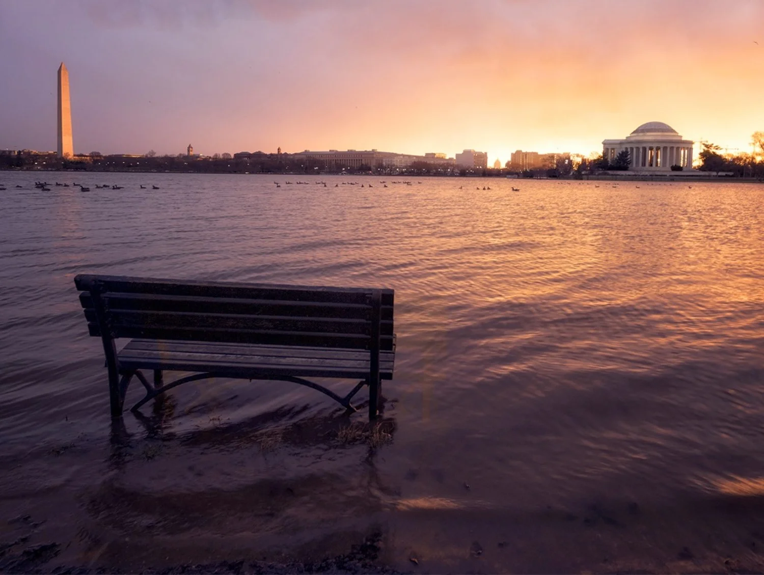 NEWS RELEASE:  Tidal Basin named to List of 11 Most Endangered Historic Places for 2019
