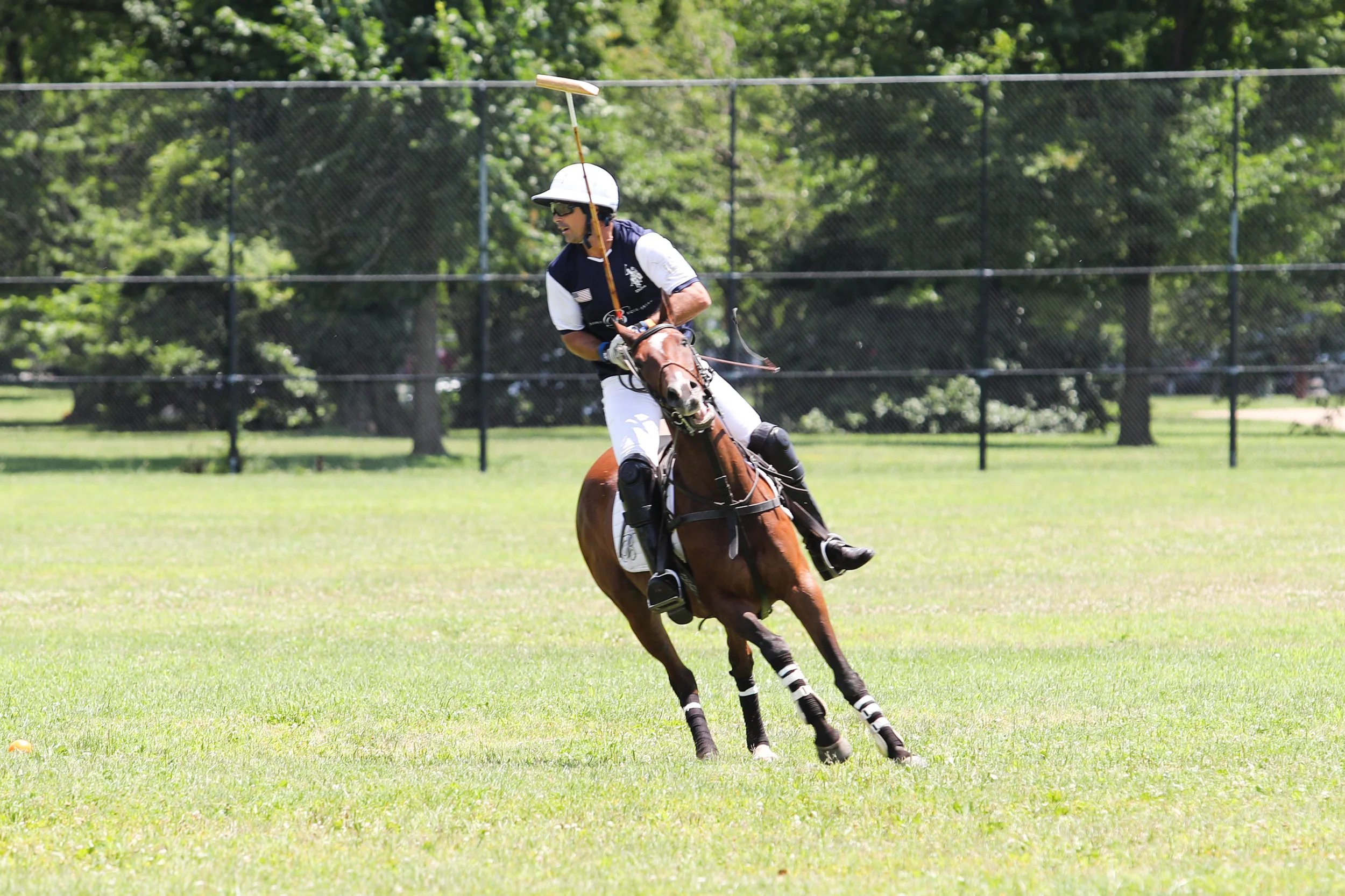 Hundreds Attend The District Cup Benefiting The Trust for the National Mall