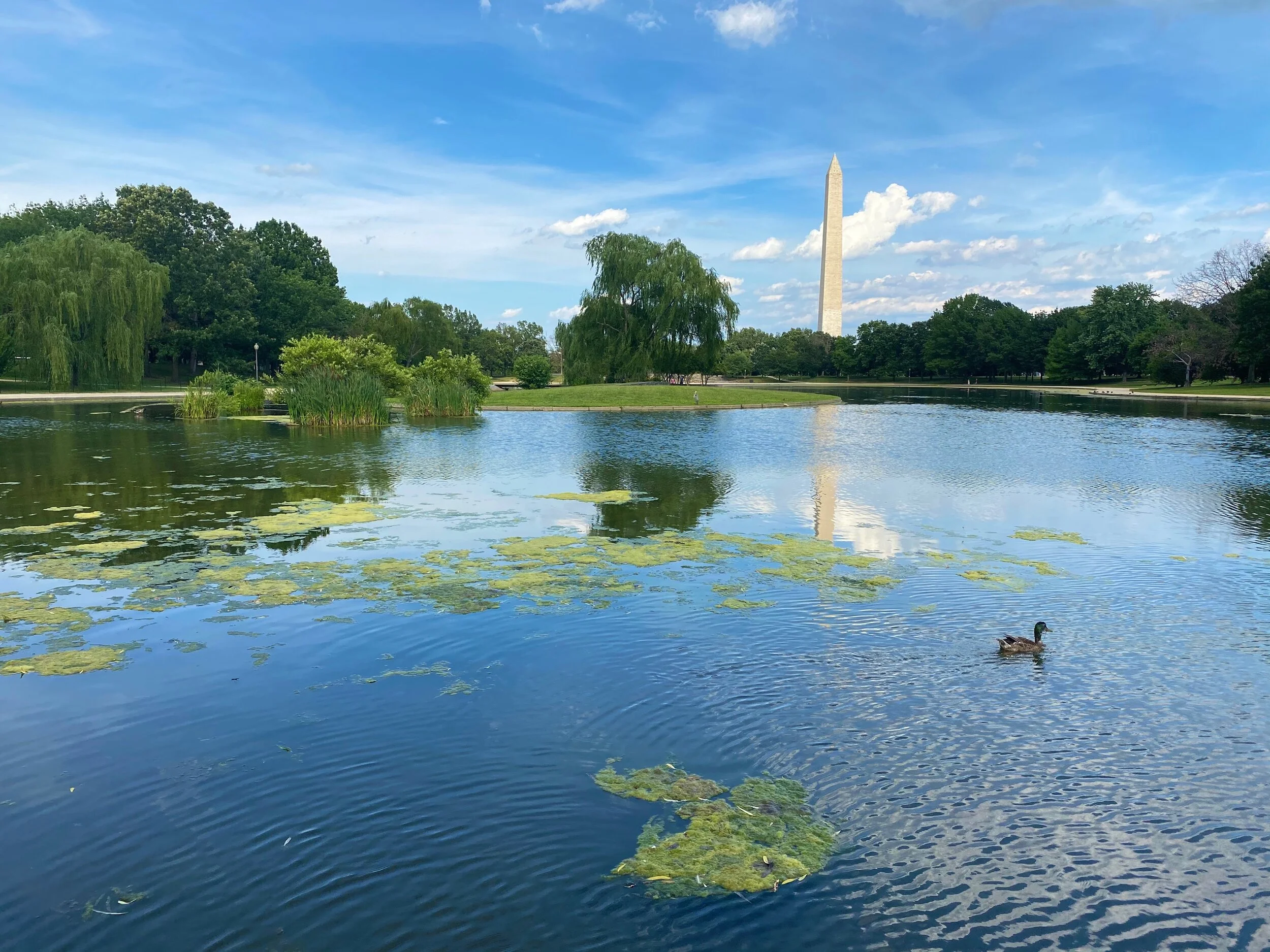 The Great American Outdoors Act Will Restore and Protect Our National Parks and Public Lands