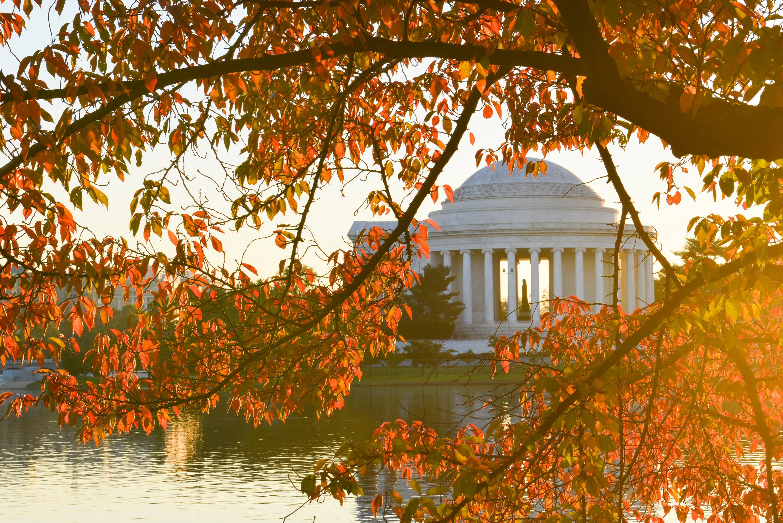 Share Your National Mall Story