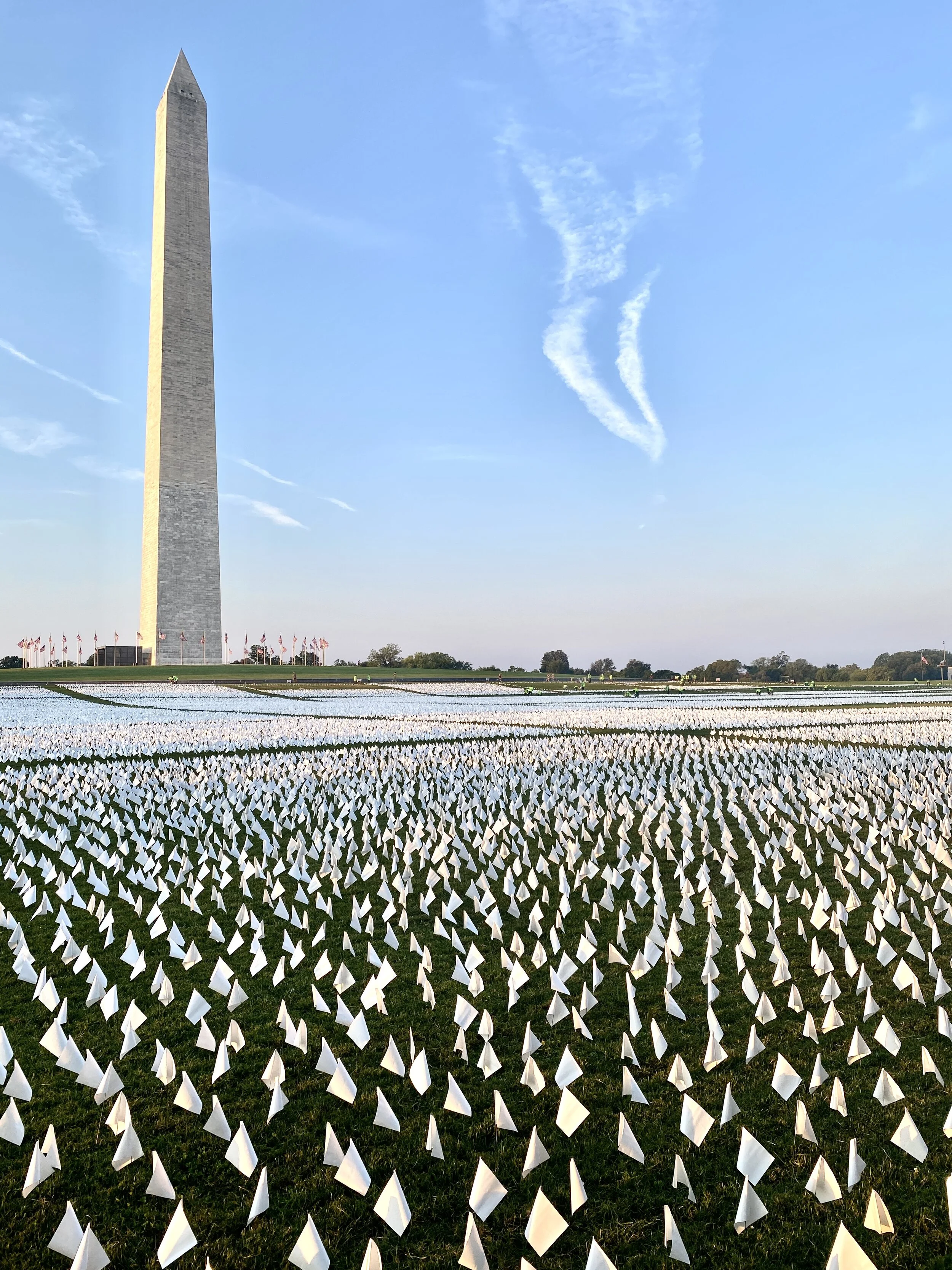 WUSA9: Social justice artist plants thousands of flags at National Mall for those who died of COVID