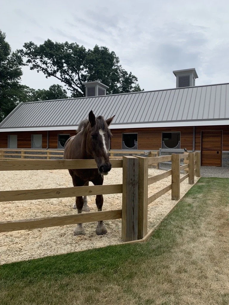 Horse Stables Inside