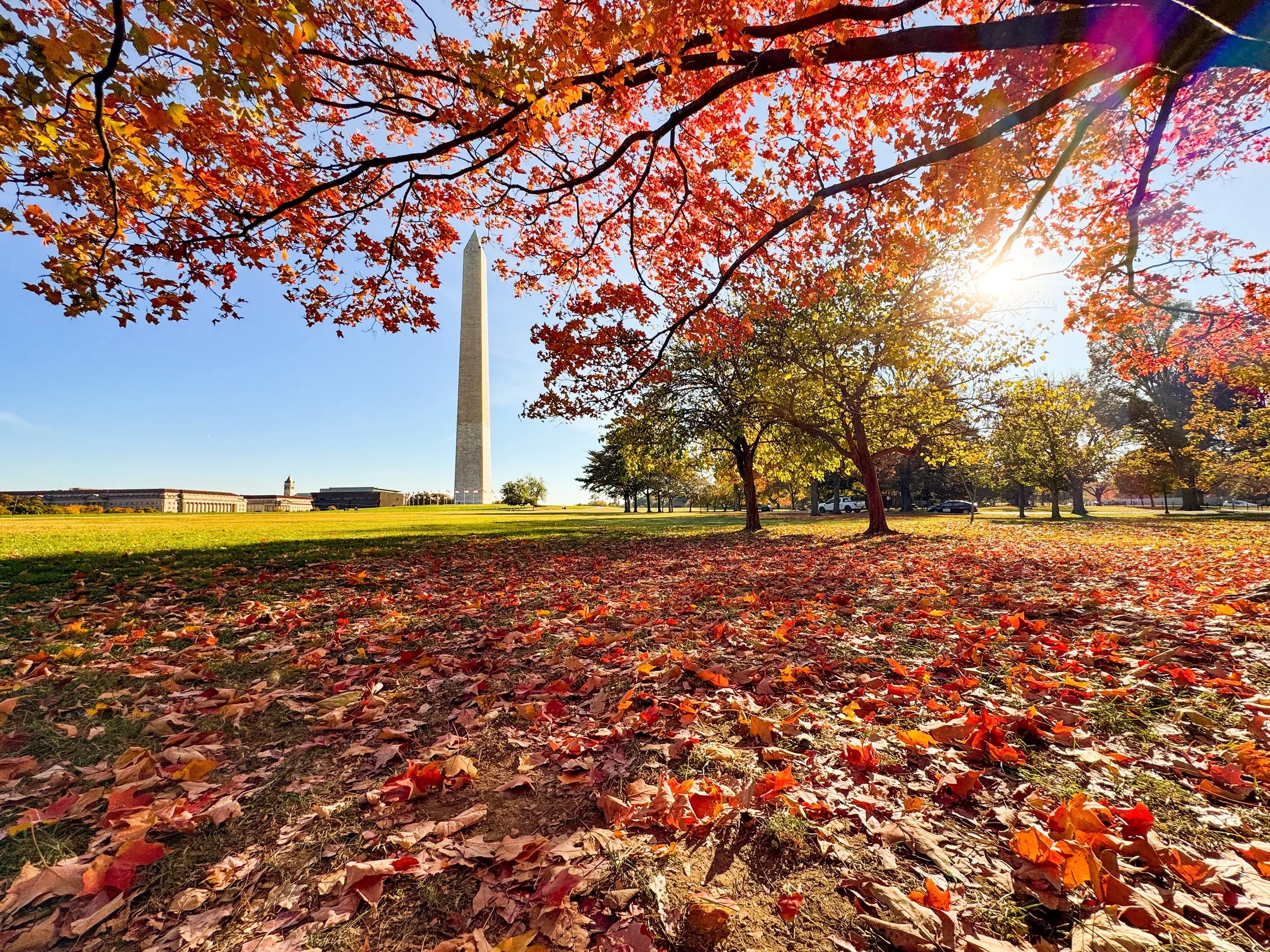 Fall on the Mall 2025