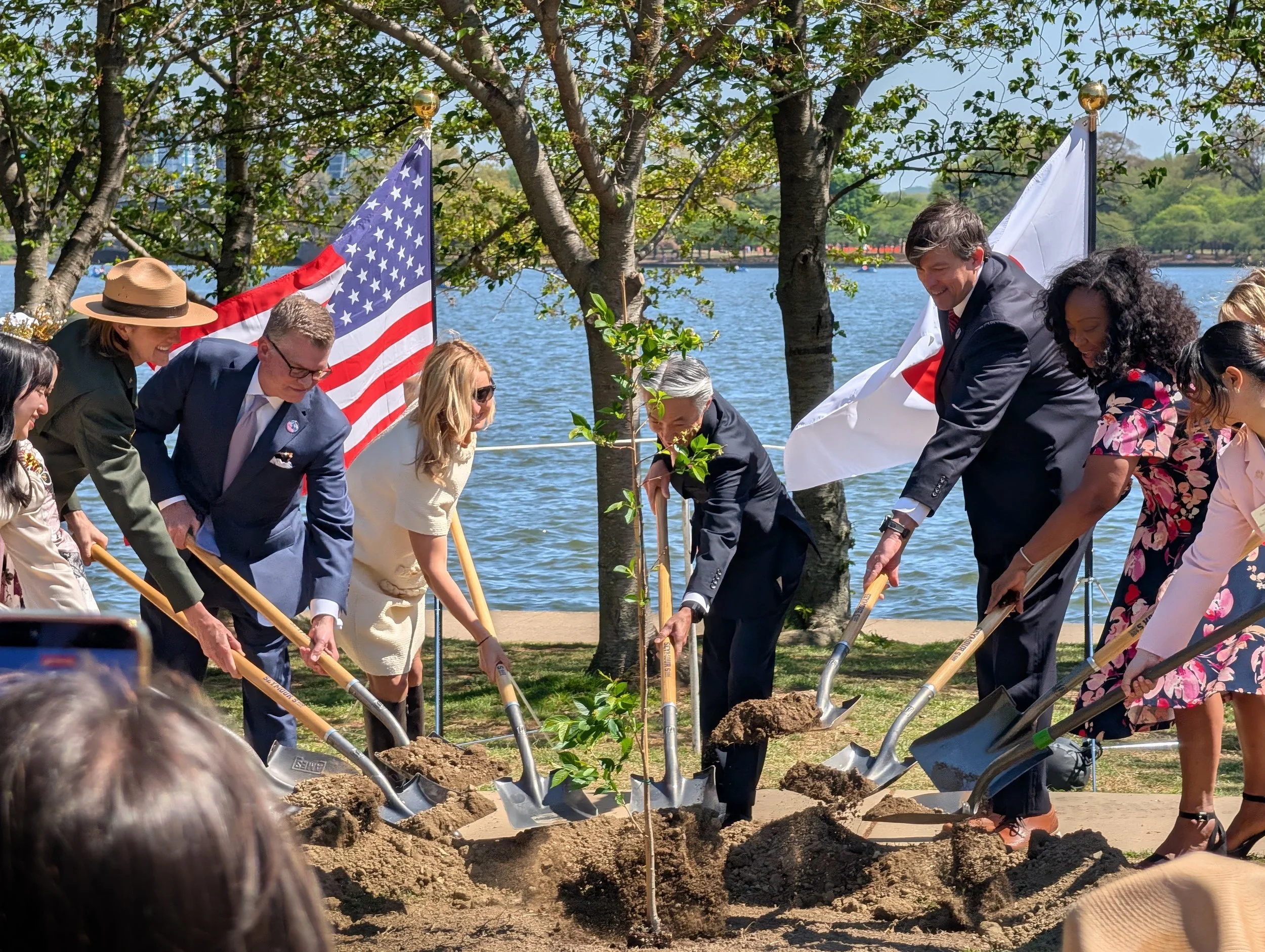 Celebrating Japan's Gift of Cherry Trees for America's 250th