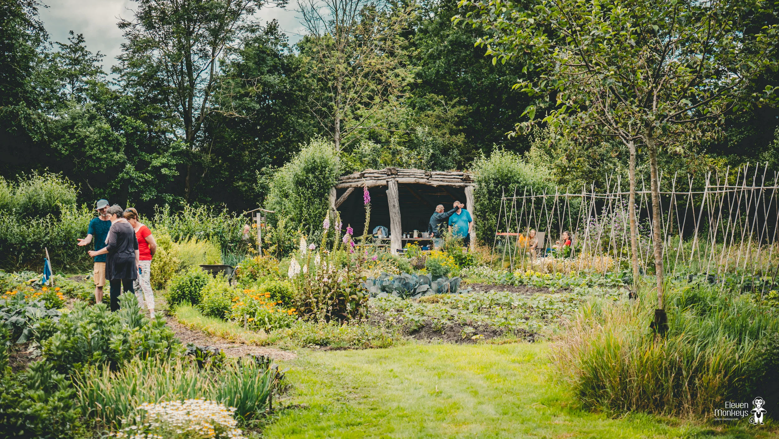 Dorpstuin-opendag-juni-2019-9.jpg