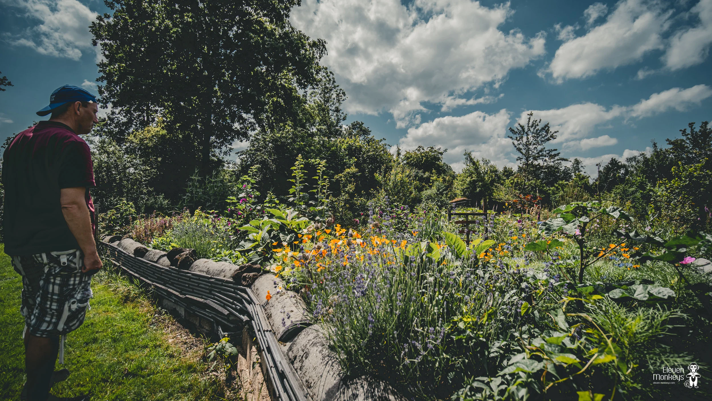 Dorpstuin-opendag-juni-2019-23.jpg