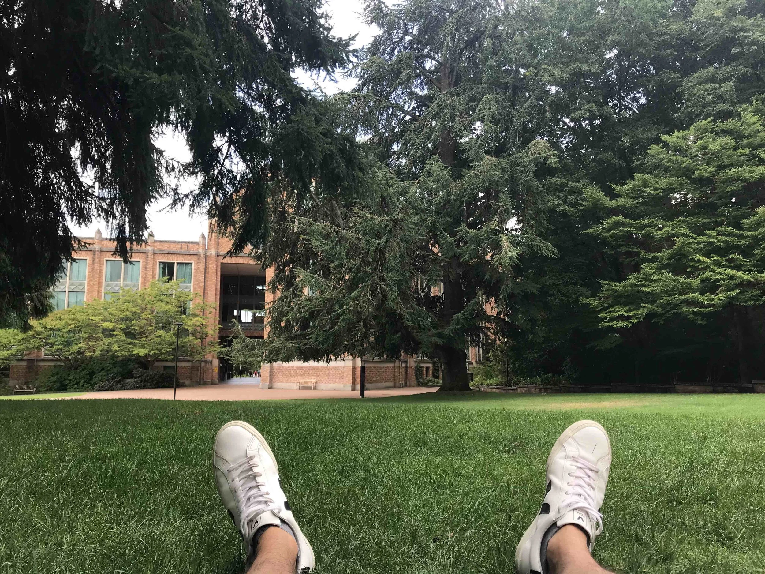 IMG_3867foot-uw.jpg