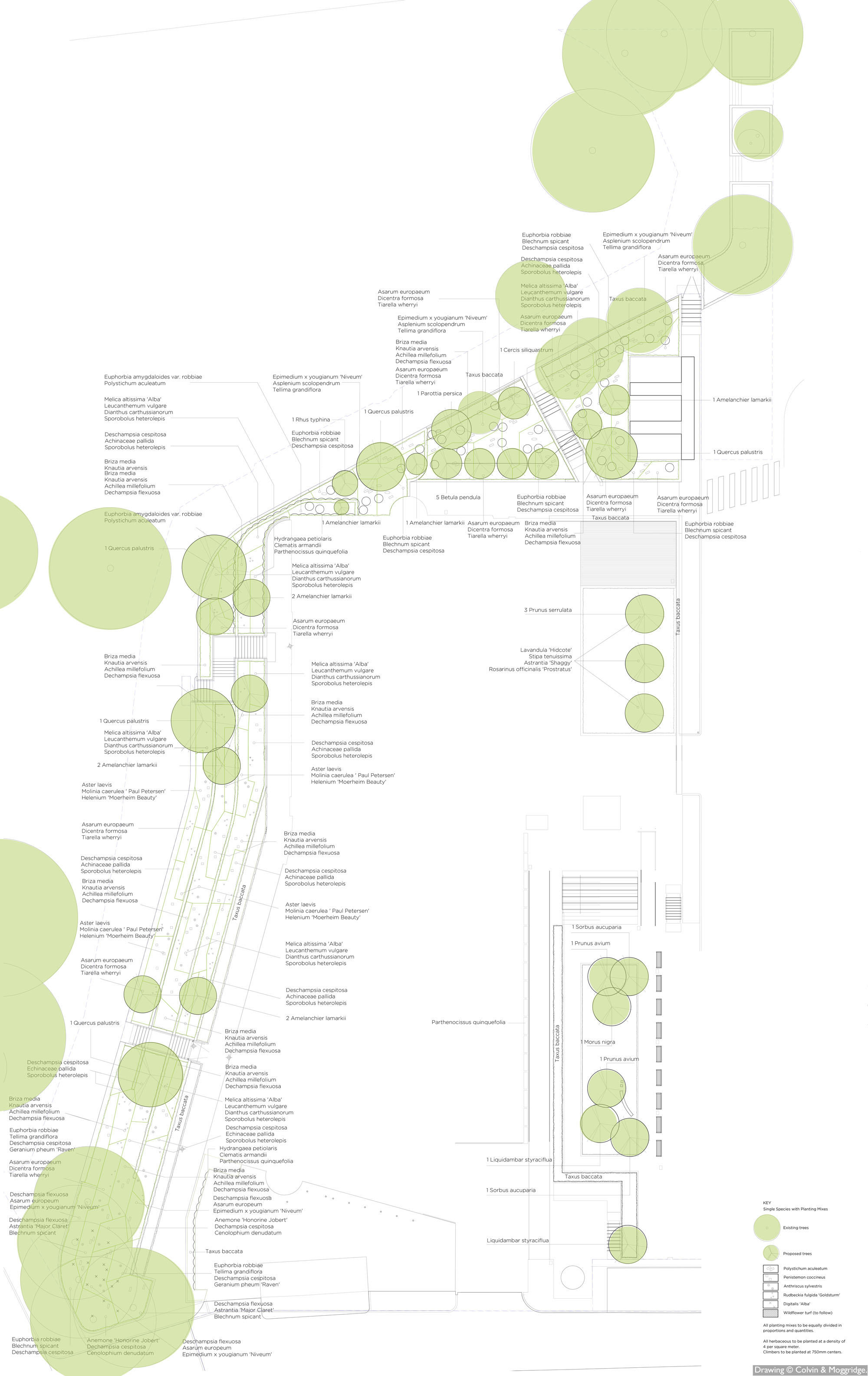 C&M-Planting-Plan.jpg