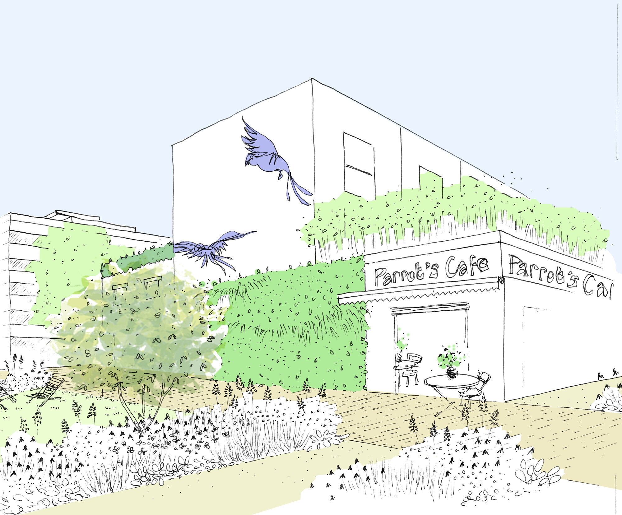 MSS-Circular-Park-Parrots-cafe_make-space-copy.jpg