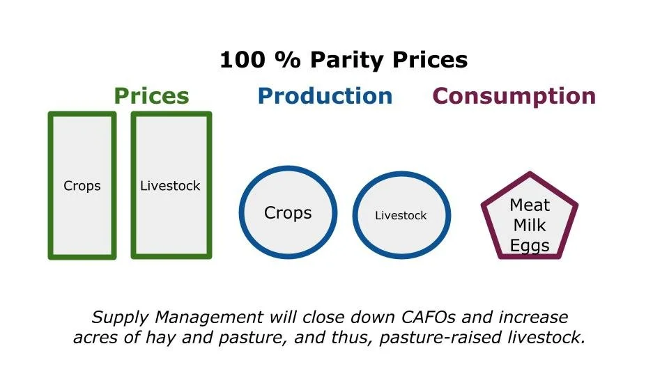 Parity Principles — Clarity on Parity