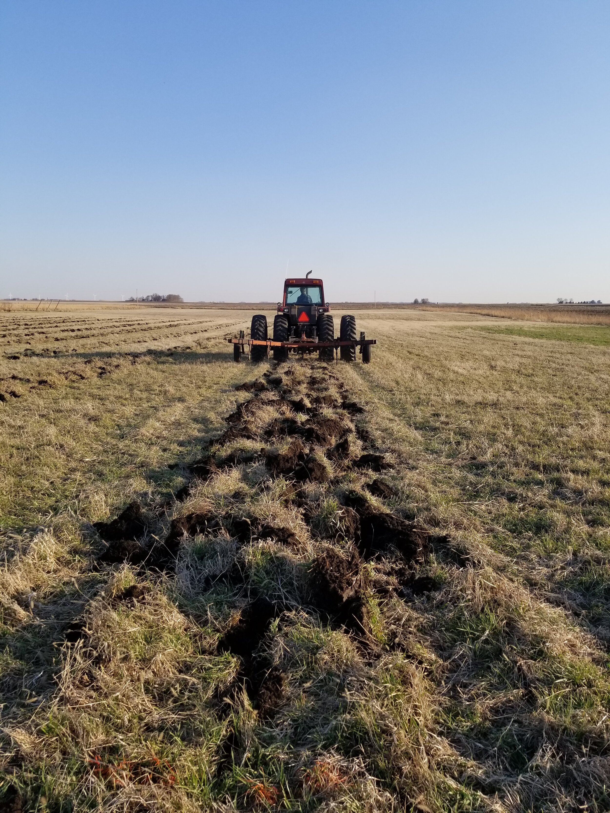 04.10.20 Preparing ground for new orchard