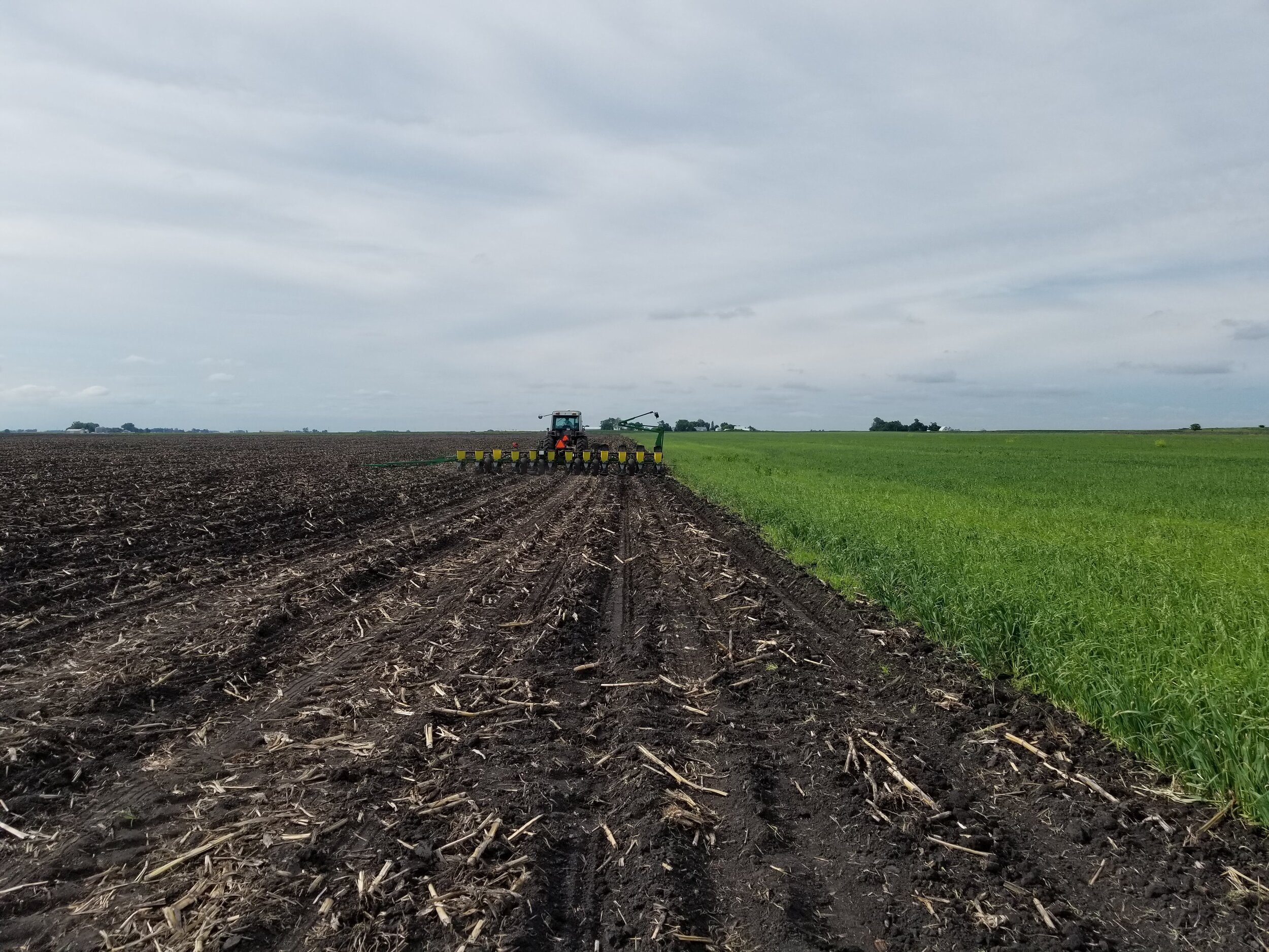 06.12.20 Planting organic sweet corn