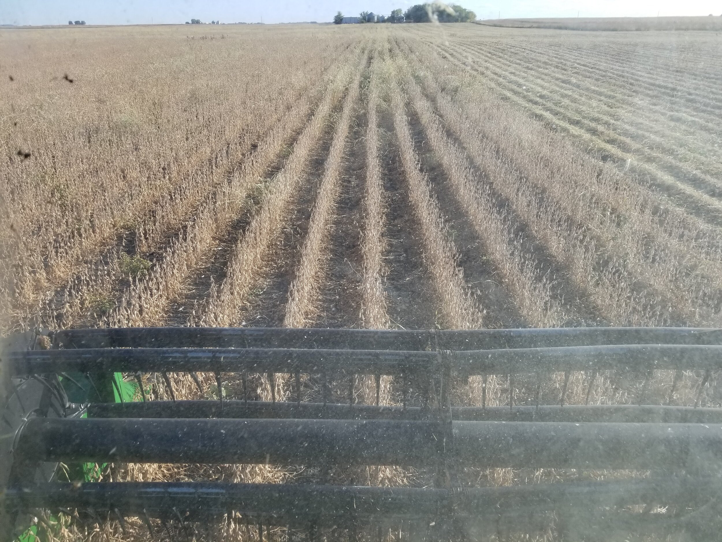 10.02.20 Organic soybean harvest